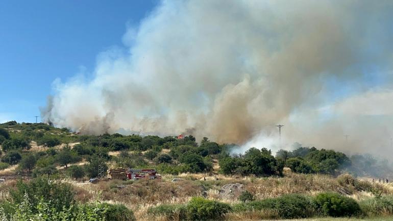 Çanakkalede bozuk ormanda yangın