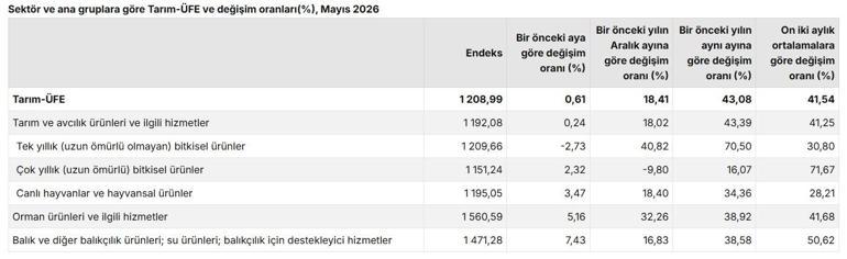 TÜİK: Tarım ürünleri üretici fiyatları mayısta arttı