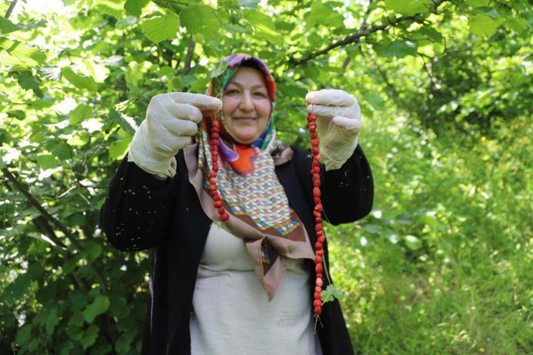 Ordu’nun dağ çileği reçeline coğrafi işaret tescili