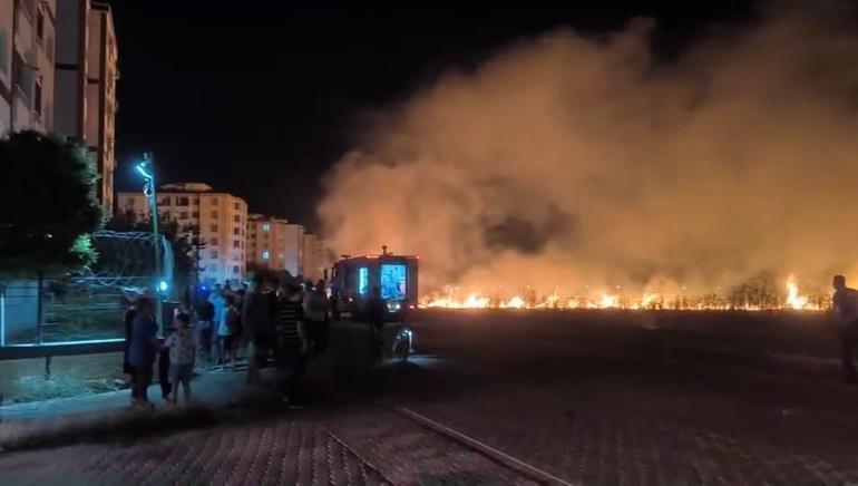 Diyarbakır’da çıkan anız yangını, 3 saatte söndürüldü