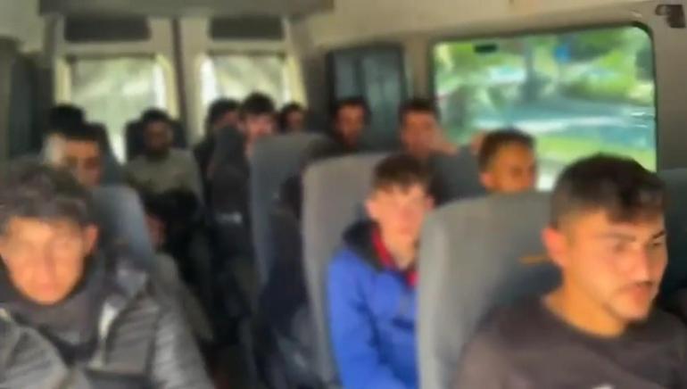 Hatay’da 24 kaçak göçmen yakalandı, 2 organizatör tutuklandı