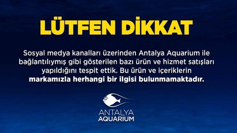 Akvaryum yönetiminden dijital dolandırıcılara suç duyurusu