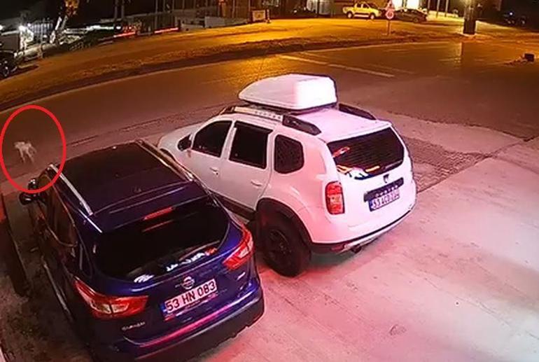 Köpeğe çarpmamak için manevra yaptı, takla atan ATVde öldü; kaza kamerada