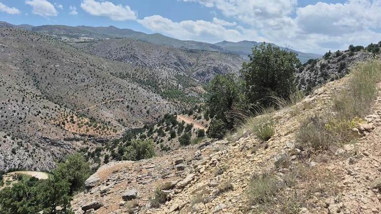 Malatyada 3 aydır aranan Ayselin öldürüldüğü ortaya çıktı; 4 gözaltı