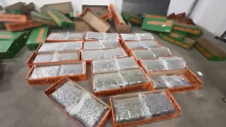 Arnavutköy ve Zeytinburnunda operasyon: 198 kilogram uyuşturucu ele geçirildi; 5 gözaltı