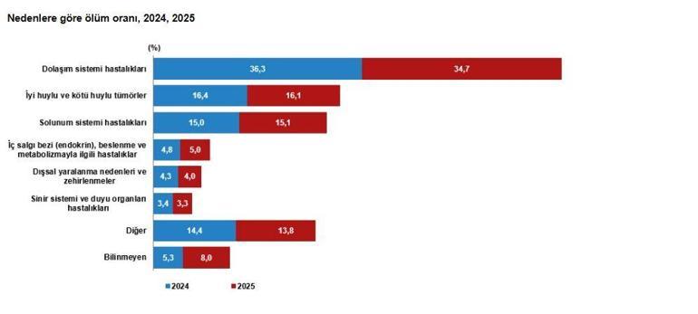 2025te ölüm sayısı 491 bin 684 oldu