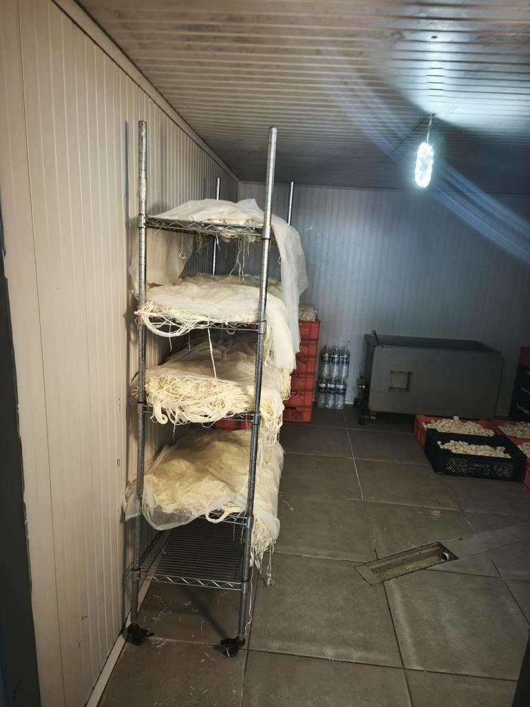 Ankarada 9 ton bozuk süt ve süt ürünü ele geçirildi
