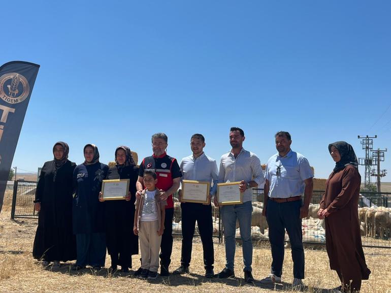 Bakanlıktan 1600 üreticiye 160 bin küçükbaş hayvan desteği