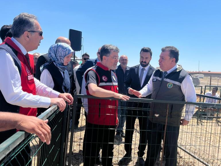 Bakanlıktan 1600 üreticiye 160 bin küçükbaş hayvan desteği