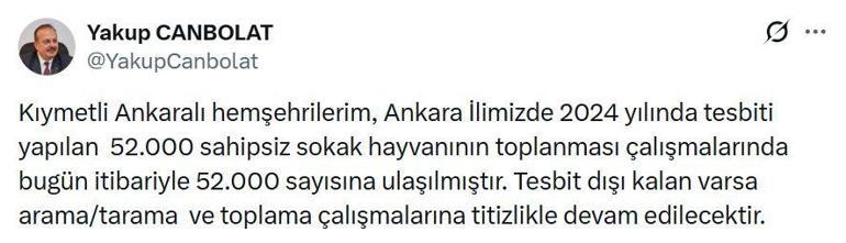 Ankarada 52 bin sahipsiz sokak hayvanı toplandı