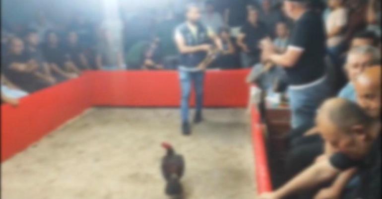 Hayvanları Koruma Derneği kurup horoz dövüştürdüler: 110 kişiye 1,2 milyon lira ceza