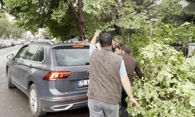 Ardahanda çürüyen ağaç yola devrildi