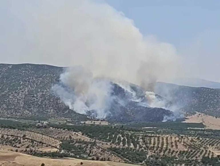 Malatyada orman yangını