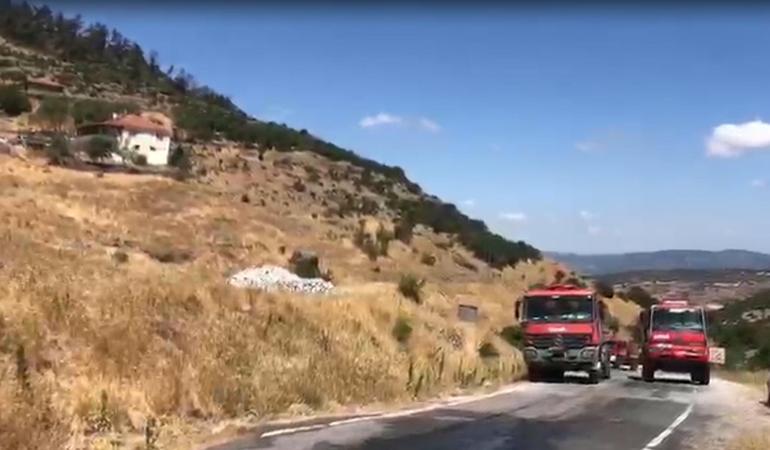 Balıkesirde orman yangını