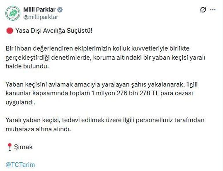 Koruma altındaki yaban keçisini yaralayan avcıya 1,2 milyon lira ceza