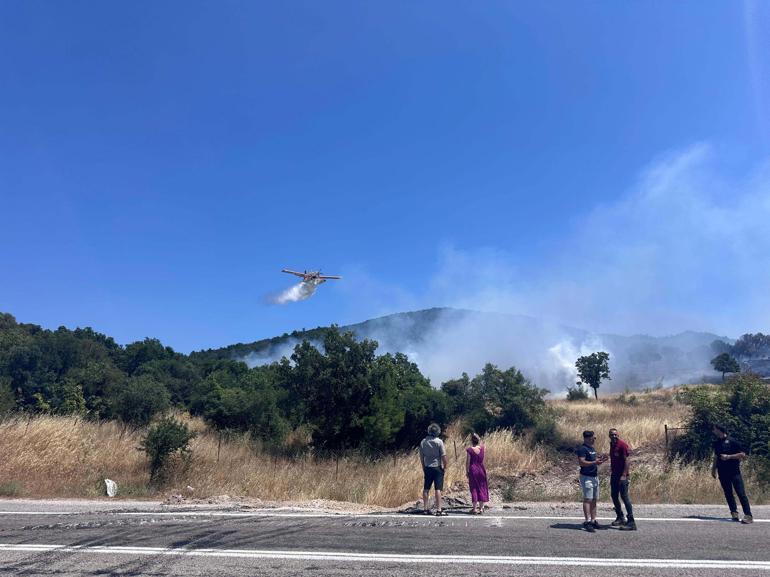 Çanakkalede orman yangını