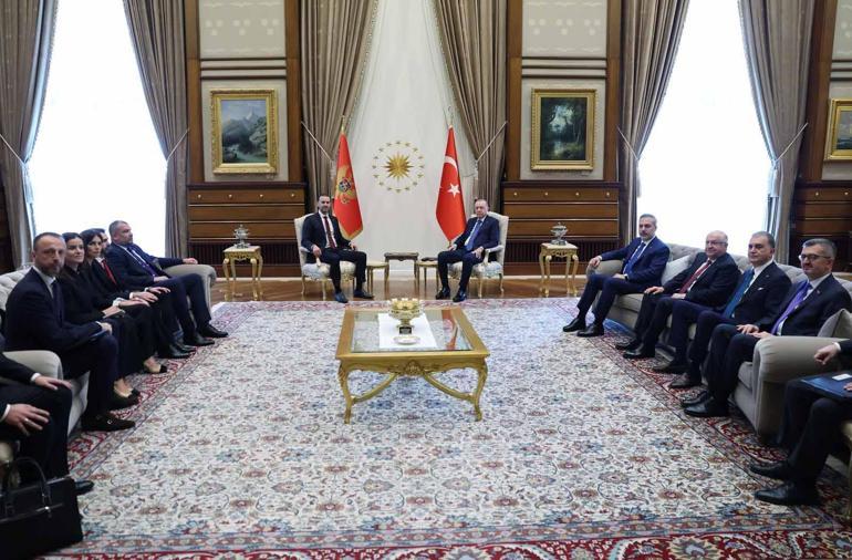 Cumhurbaşkanı Erdoğan, Karadağ Başbakanı Spajici kabul etti