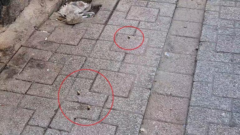Diyarbakır’da eve silahlı saldırı