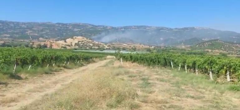 Manisada maki yangınında alevler ormana sıçradı