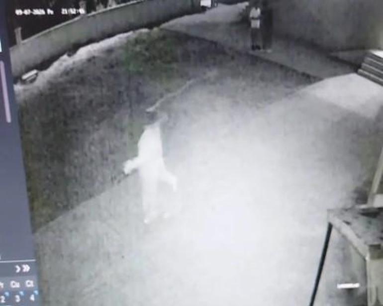 Cami avlusunda uygunsuz davranışlarda bulunan çifti uyaran imam darbedildi