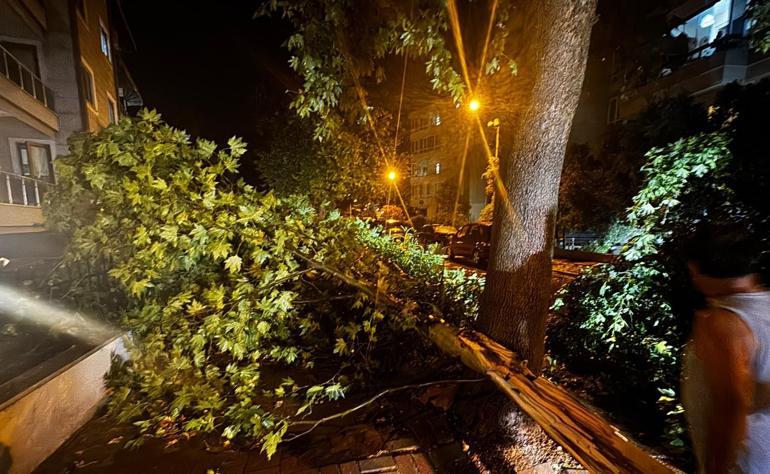 Balıkesirde sağanak ve fırtına; sokakları su bastı, ağaçlar devrildi