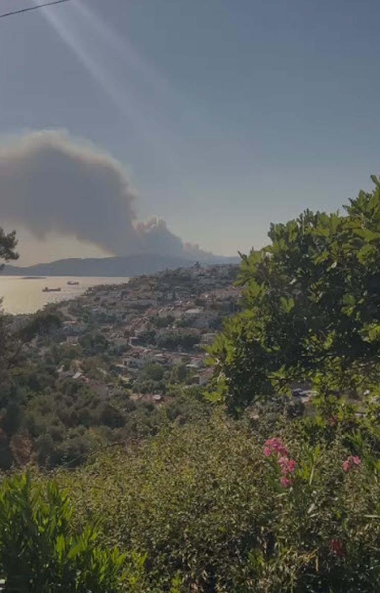 Milasta orman yangını