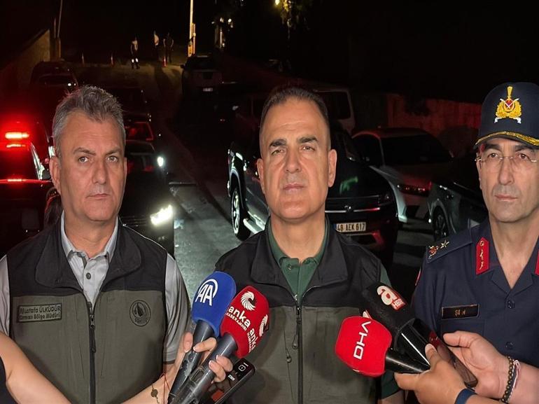 Milasta orman yangını
