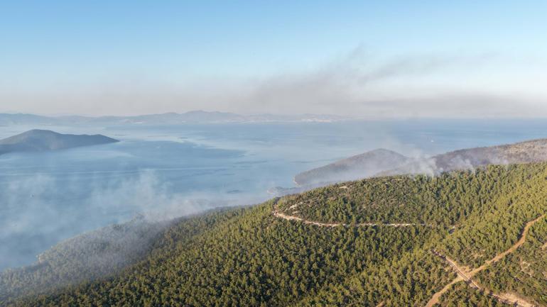 Milastaki orman yangını 2nci gününde