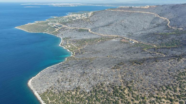 Milastaki orman yangını 2nci gününde