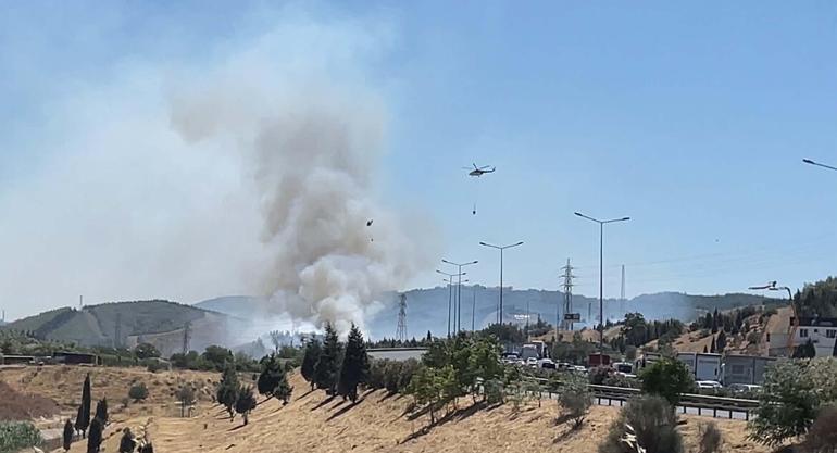 İzmirde otluk alanda çıkan yangın, ormana sıçradı