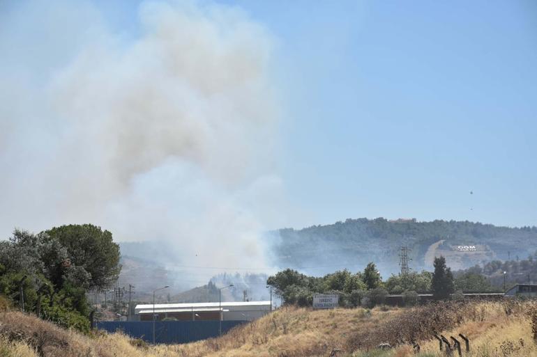İzmirde otluk alanda çıkan yangın, ormana sıçradı