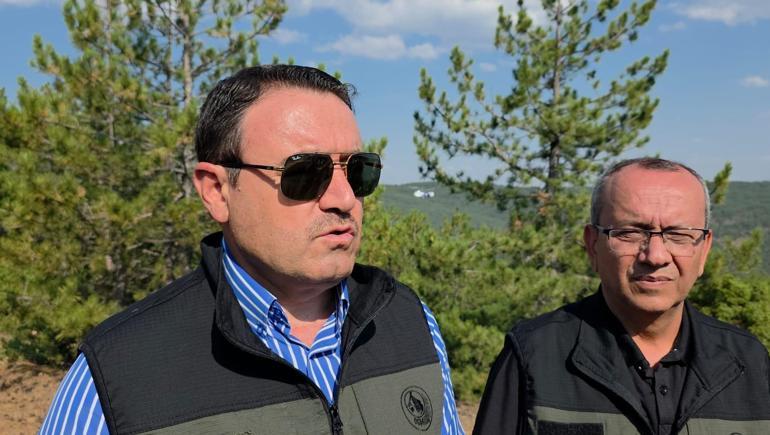 Kütahya’da orman yangını