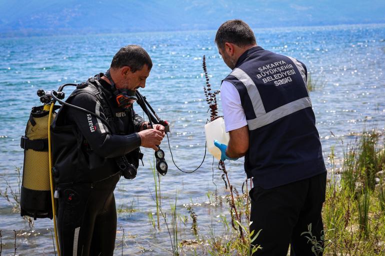 Sapanca Gölündeki pamuksu tabakanın nedeni ortaya çıktı