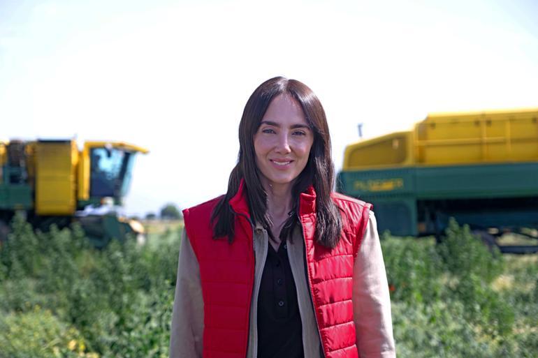 SuperFreshin hasat dönemi devam ediyor