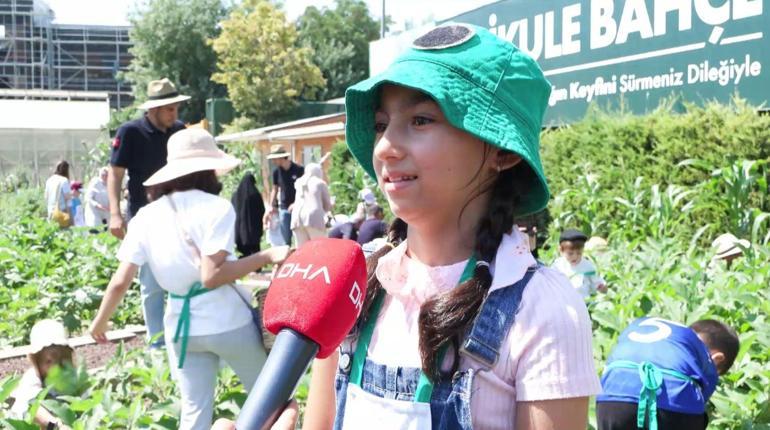 Yedikule Bahçe’de çocuklar meyve ve sebze hasadı yaptı