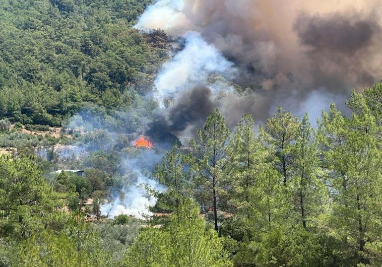 Muğlada orman yangını