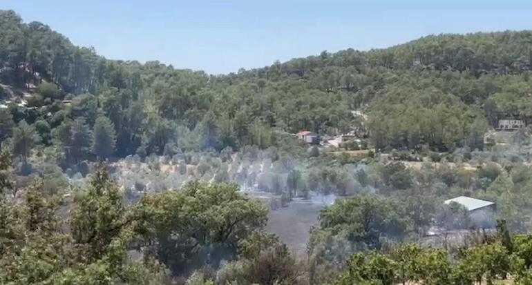 Muğlada orman yangını