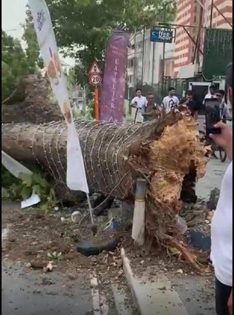 İstanbul’da fırtına; bazı ilçelerde ağaçlar devrildi, çatılar uçtu