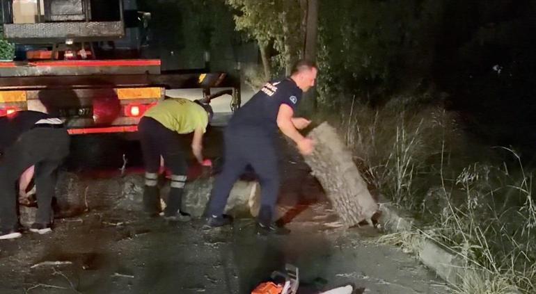 Sancaktepe’de fırtınada devrilen ağaç hafif ticari aracın üzerine düştü