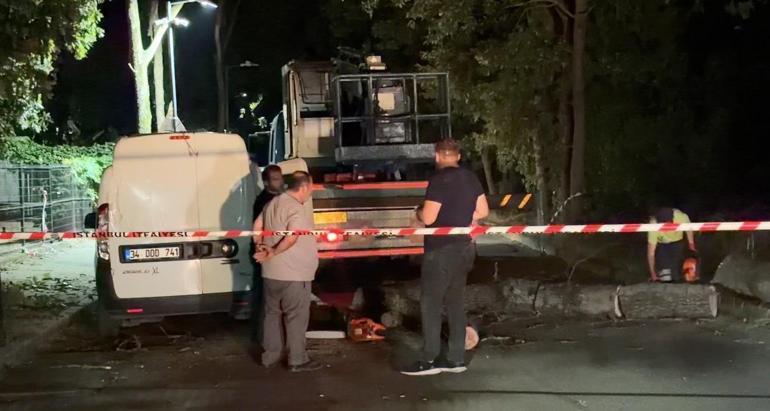 Sancaktepe’de fırtınada devrilen ağaç hafif ticari aracın üzerine düştü