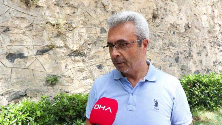 Beşiktaştaki tarihi ağaçlara Çınar kanserine karşı koruma çalışması: İlaçla tedavi yöntemi mümkün değil
