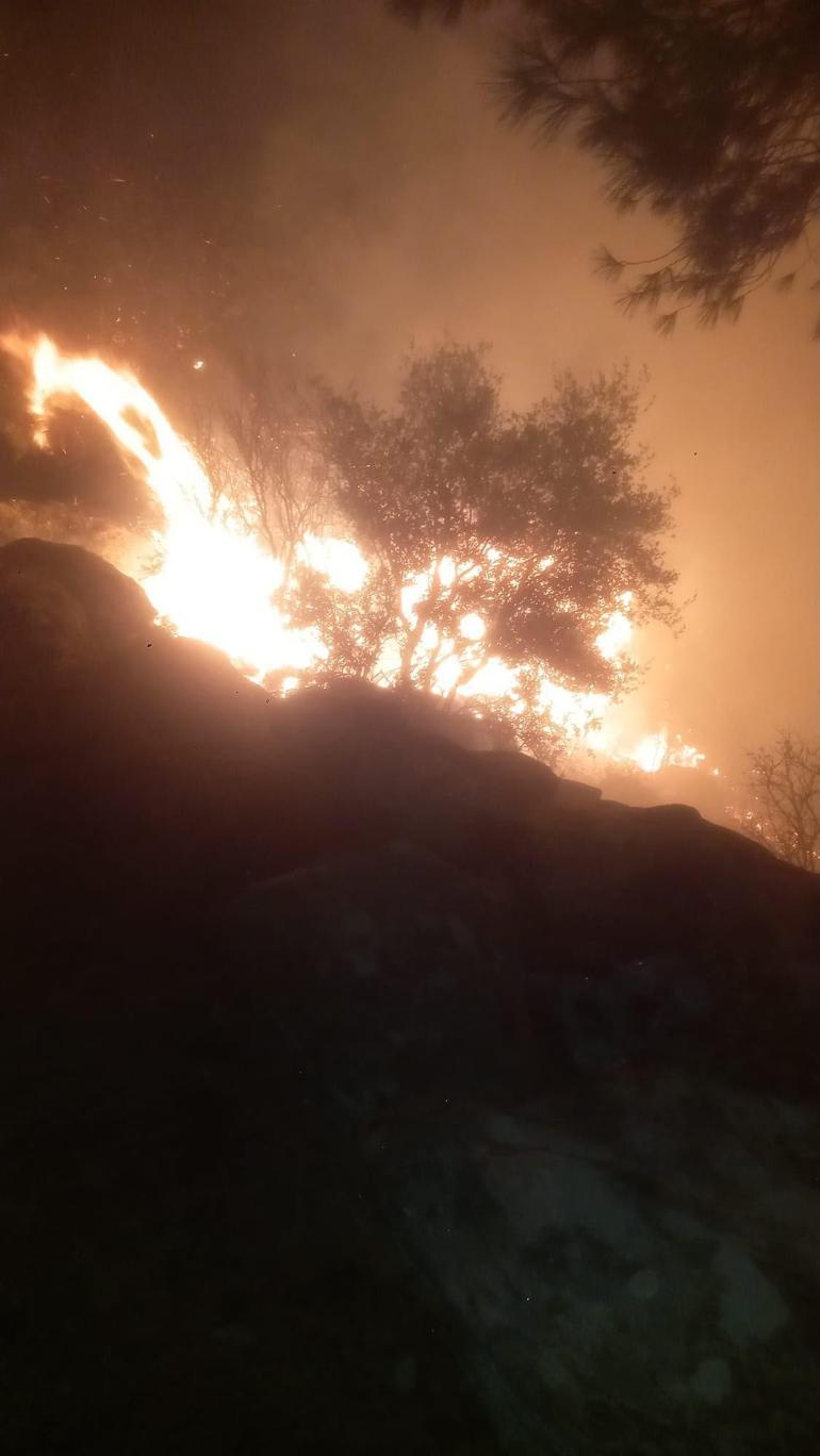 Muğla’da çıkan orman yangını kontrol altında