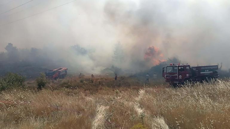 Muğlada tarım arazisinde çıkan yangın ormana sıçradı