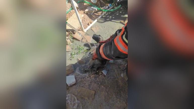 Mikserden dökülen betonda mahsur kalan yavru köpeği itfaiye kurtardı