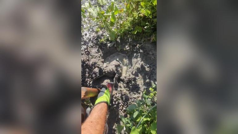 Mikserden dökülen betonda mahsur kalan yavru köpeği itfaiye kurtardı