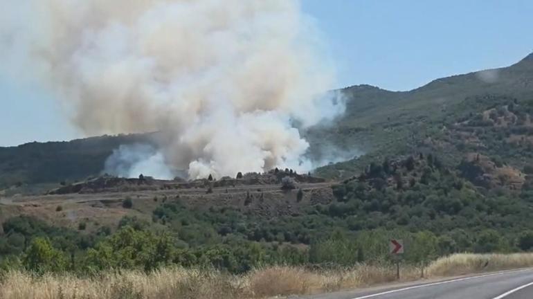 Kütahyada orman yangını