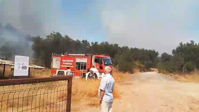 Balıkesirde orman yangını