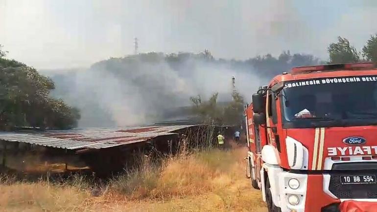Balıkesirde orman yangını