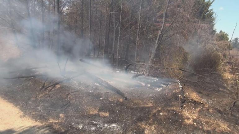 Çatalcada otluk alanda çıkan yangın seraya sıçradı