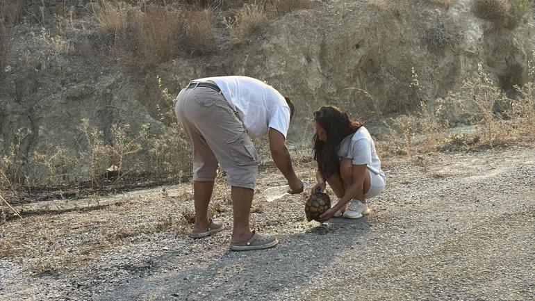 Muğla Seydikemer’deki orman yangınına havadan müdahale yeniden başladı